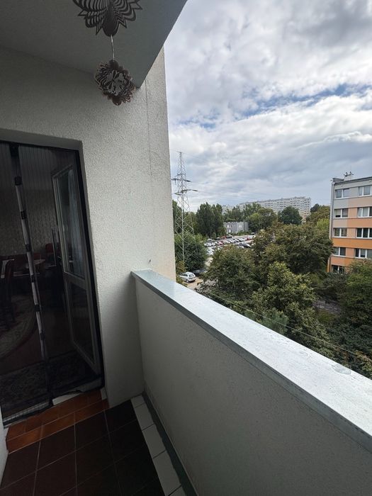 Zdjęcie 2