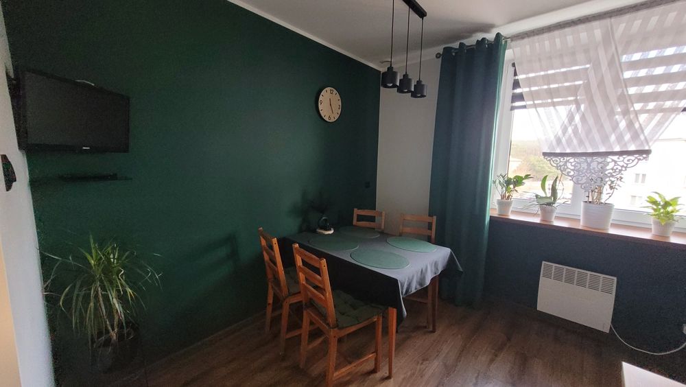 Mieszkanie do wynajęcia 39m2