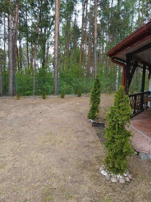 Domek do wynajecia w Urszulewie