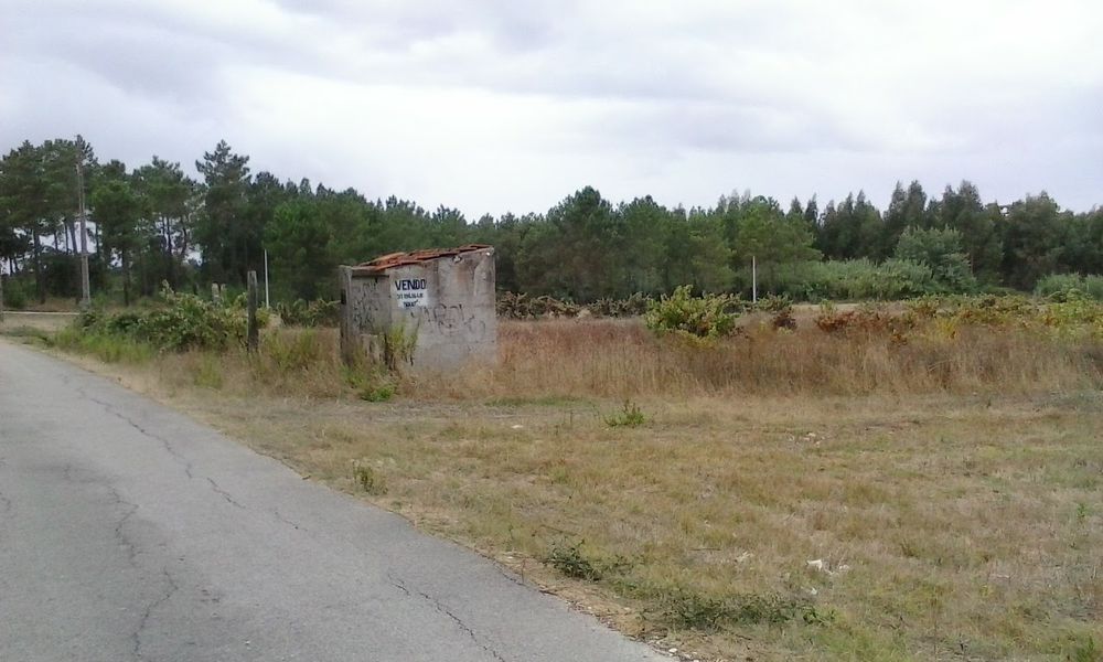 5000 m2 quinta Terreno com ruína troca ou permuta Marinhais