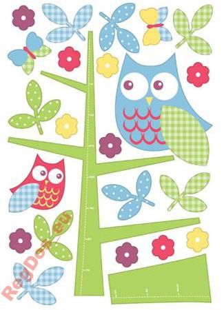 Miarka Wzrostu Sowy Na Drzewie Naklejka Naklejki