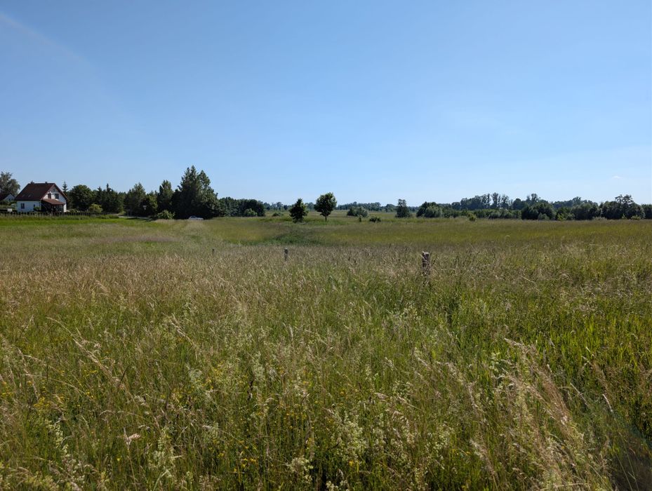 Mikołajki Tałty - Woźnice Działki 3000 - 4500mkw - Widok 3