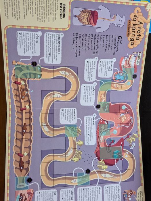 Corpo Humano 8 jogos de tabuleiro para saber tudo