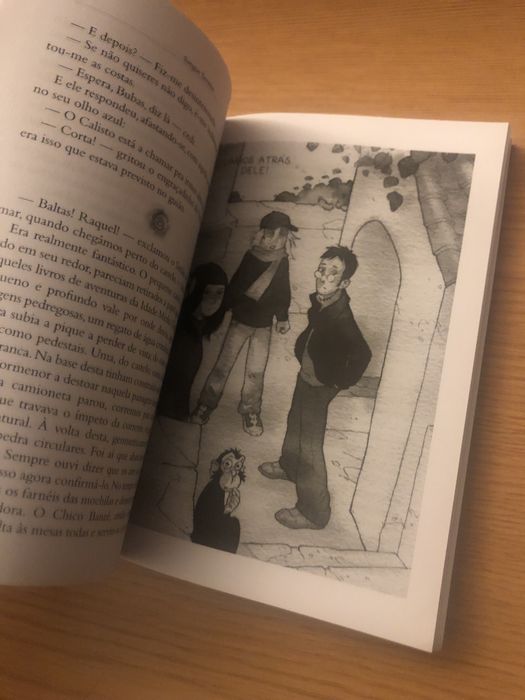 Sangue Secreto ( Livro Juvenil )