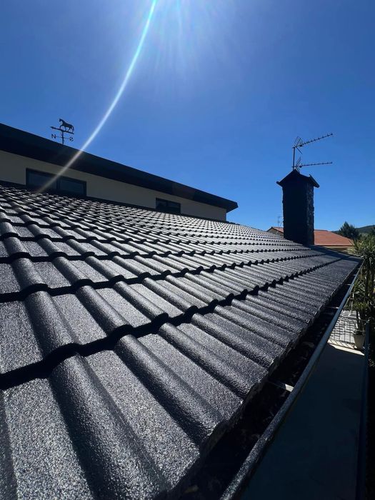 Pintor profissional e lavagem de Telhados