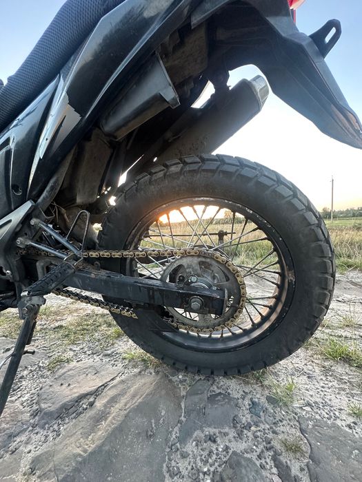 Продам Лонкін прус 200