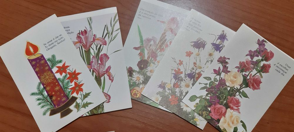 111 postais festivos