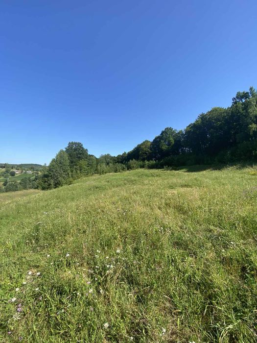 Власник.Продам.Обмін зем ділянку з кад.номер. 7км від Косова.1.га