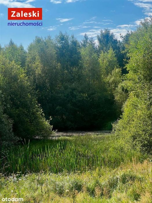 Działka pod agroturystykę lub własną oazę spokoju.