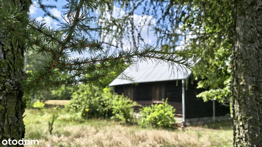 Działka rekreacyjna, zabudowana wraz mediami - Widok 2