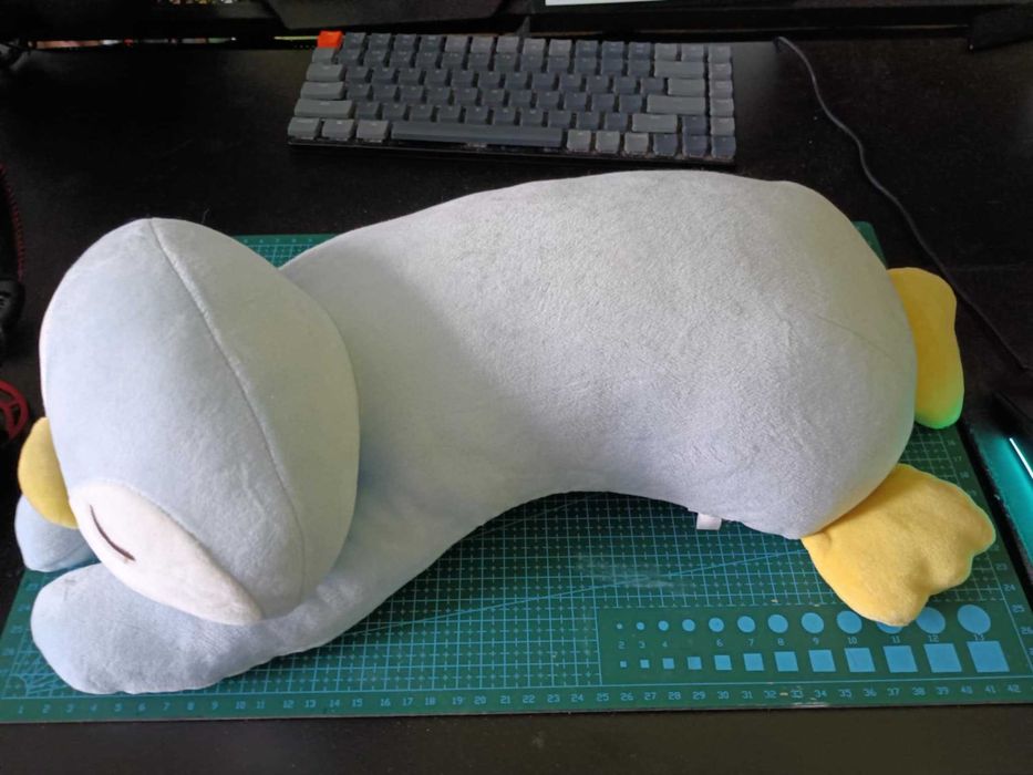 Pluszak pingwin podłużny