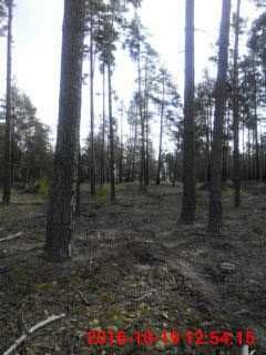 Продам або обміняю земельну ділянку в с.Тетерівське