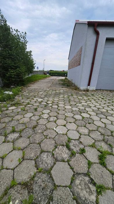 Plac nieutwardzony 3000m2