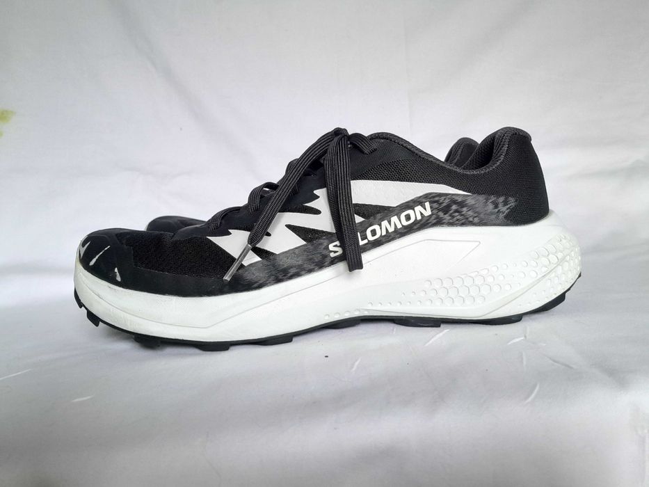 Sprzedam buty do biegania Salomon Alphaglide Czarny