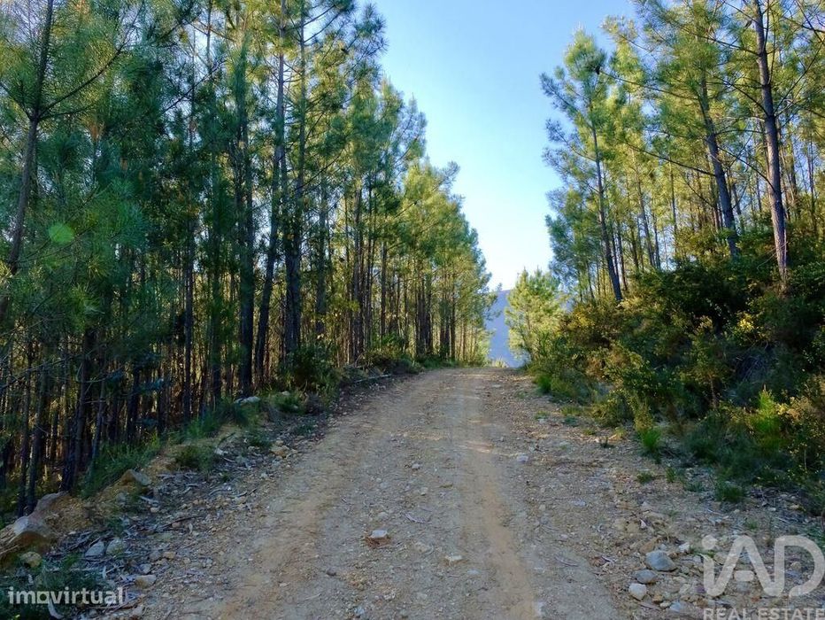Quinta T2 em Carvalhais e Candal de 55 m2