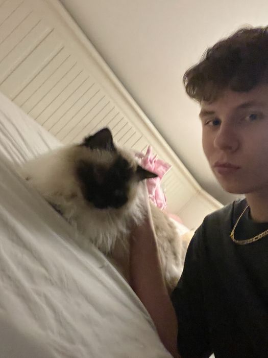 Korepetycje - Angielski bez stresu online