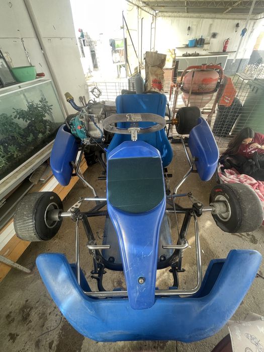 Kart 270cc evo2