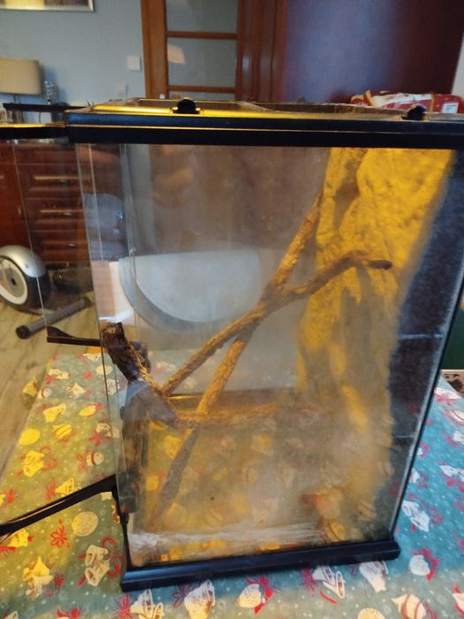 Terrarium 30 x 30 x 48