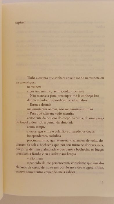 Livro "Que Farei Quando Tudo Arde"