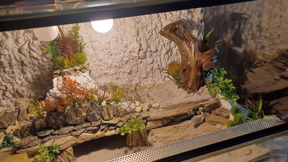 Terrarium 80x40x40 z wyposażeniem( jak nowe)