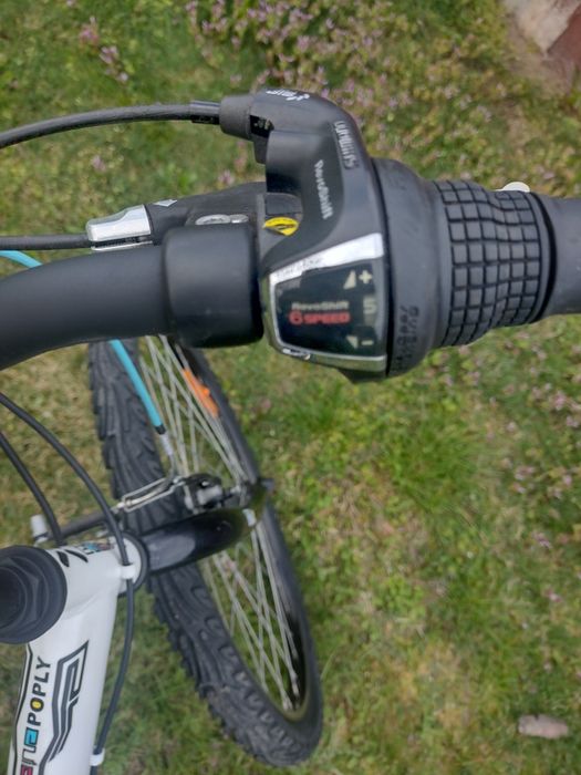 Rower górski koła 24