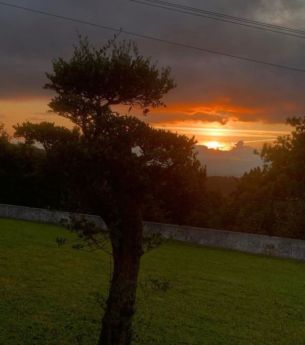 Moradia Terrea T3 para venda