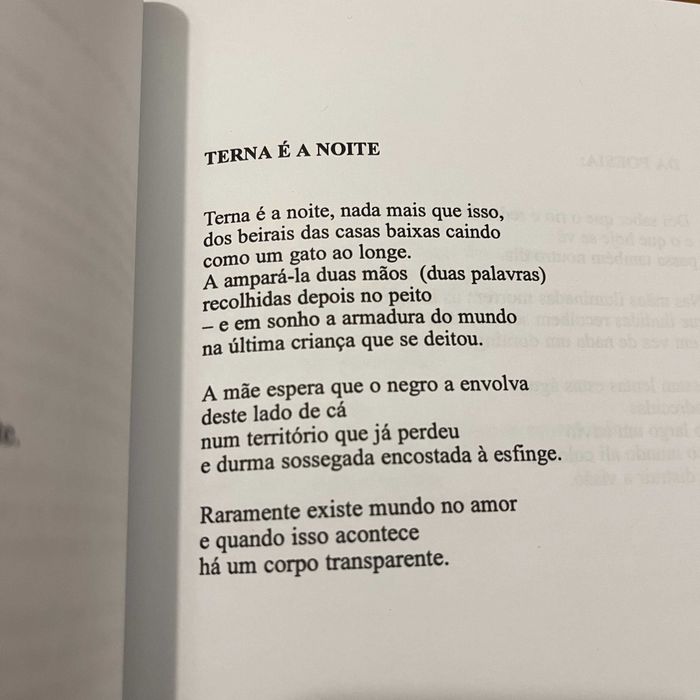 Luís-Cláudio Ribeiro - À Procura da Cidade sob a Luz Artificial (envio grátis)