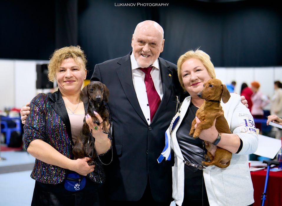 Рудий кріль,принц крові