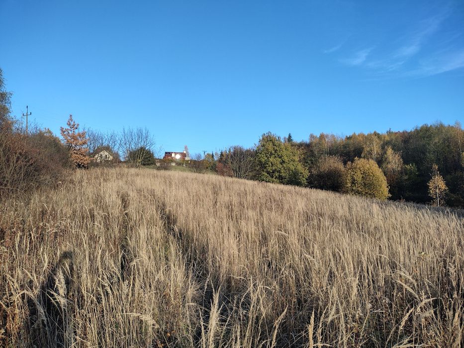 Działka budowlana na sprzedaż