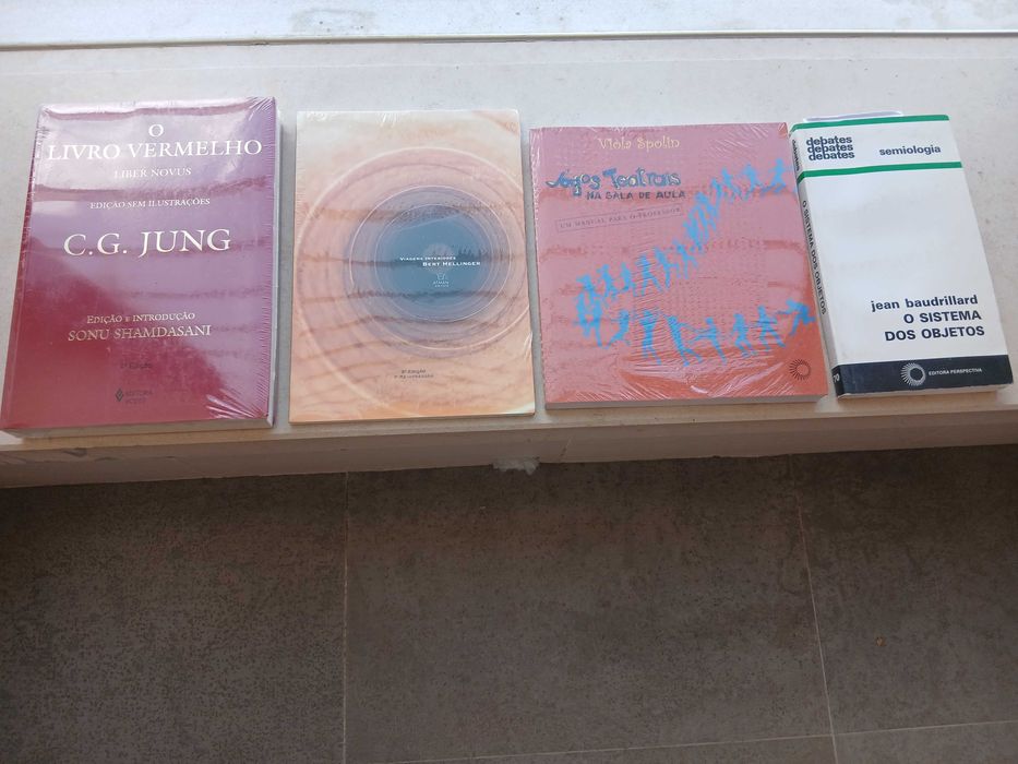 Livros novos e seminovos