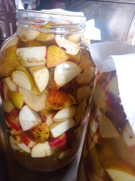 Ocet jbłkowy żywy 500 ml
