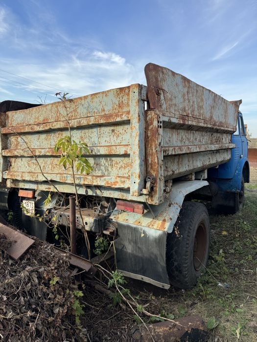 маз 5549 - Купить новый и б/у транспорт - Цена на OLX.ua