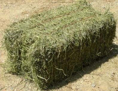 Продам тюки сіна, самовивіз