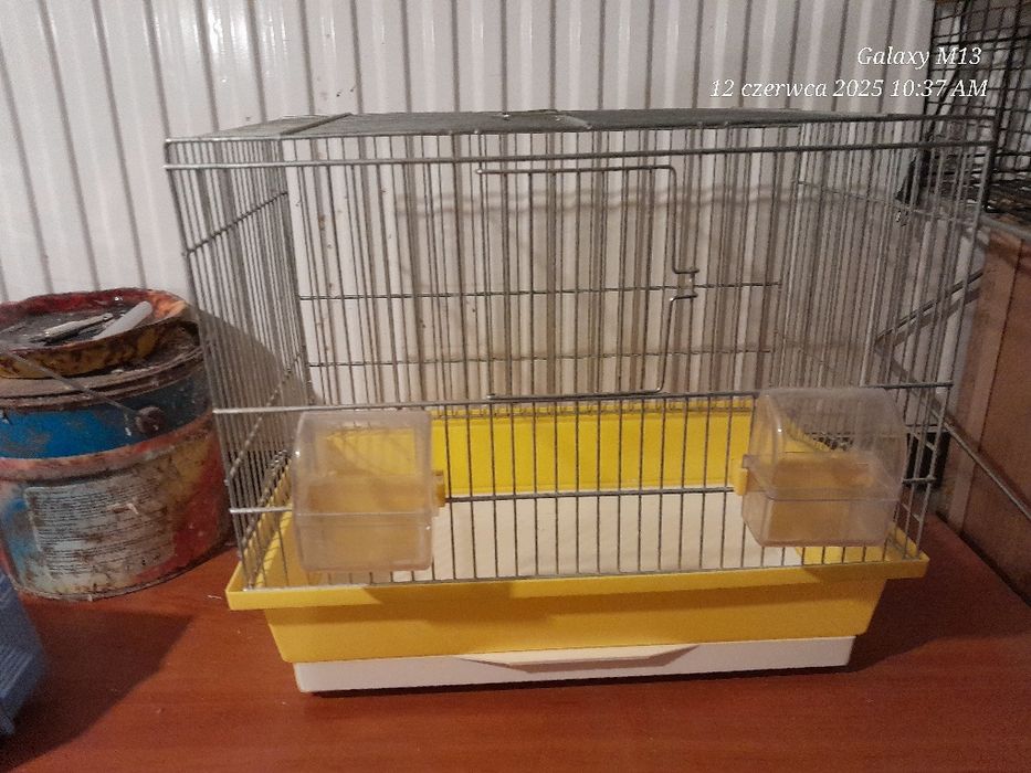 Klatka dla kanarka stan bdb