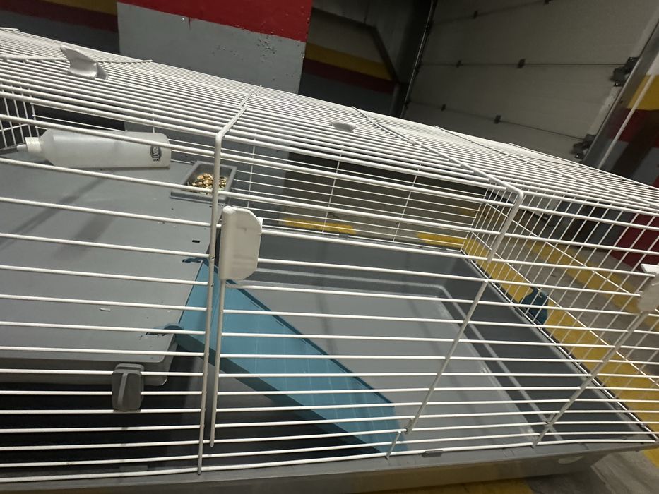 Gaiola grande roedores ( praticamente nova) 2 andares