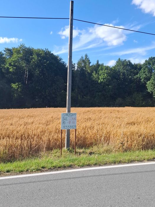 Celiny gmina Iwanowice sprzedam bezpośrednio działkę budowlaną
