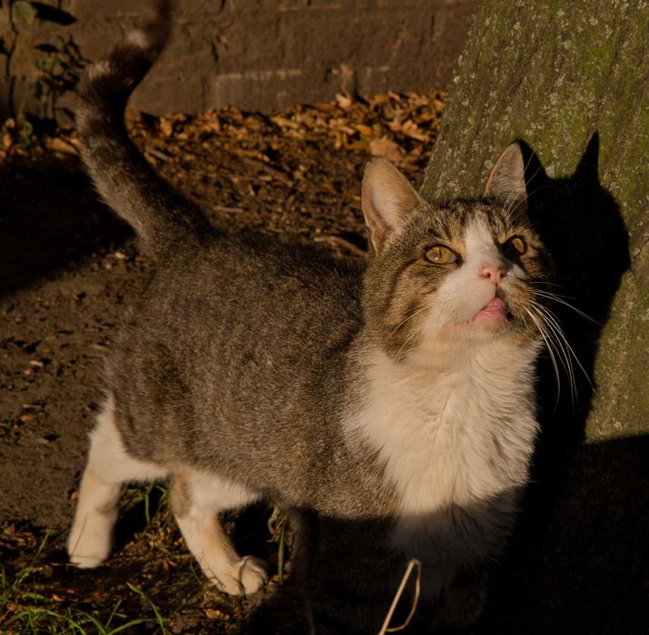Serduszko Jasia cicho i pokornie czeka...