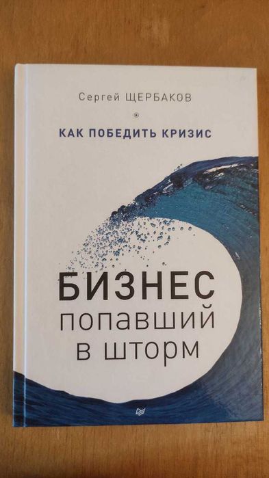 Бизнес, попавший в шторм. Как победить кризис - Сергей Щербаков