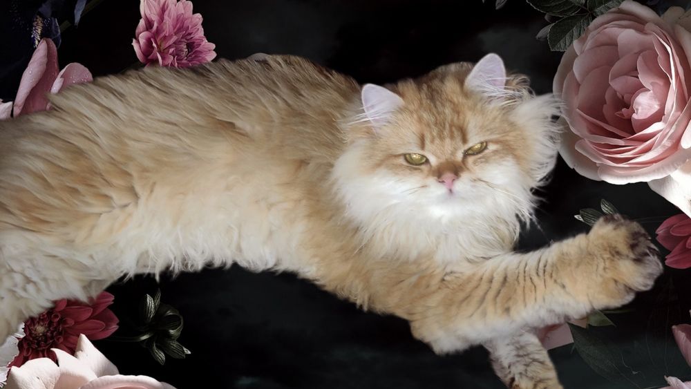 Чудовий подарунок на года