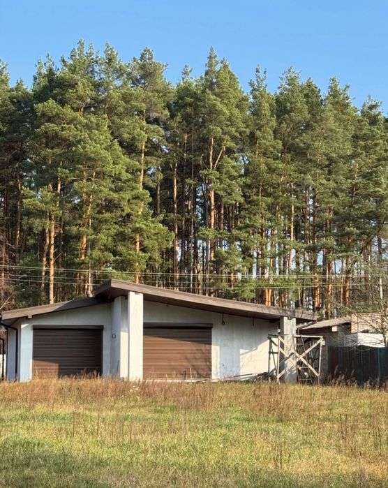 Будинок в лісі близ Київа.