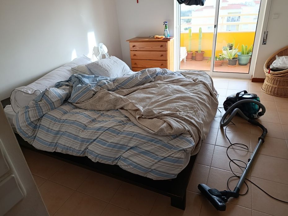 Limpeza profissional