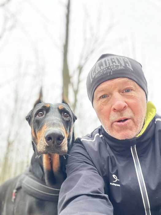 Дрессировка и выгул собак