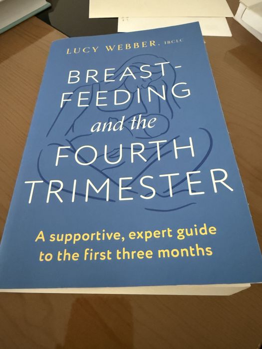 Breastfeeding and the fourth trimester, Lucy Webber