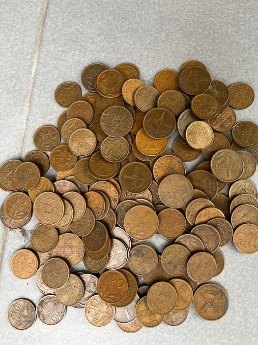 Moedas Escudo para colecionador