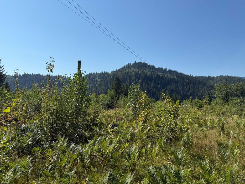 Земельна ділянка 130 соток, м.Яремче (Хижки), поділ від 0,10 га