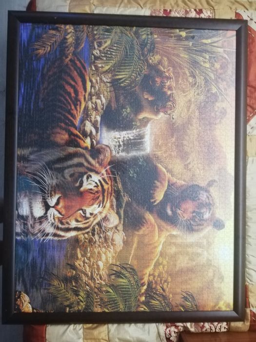 Quadro Puzzle 3000pcs64585178869121120