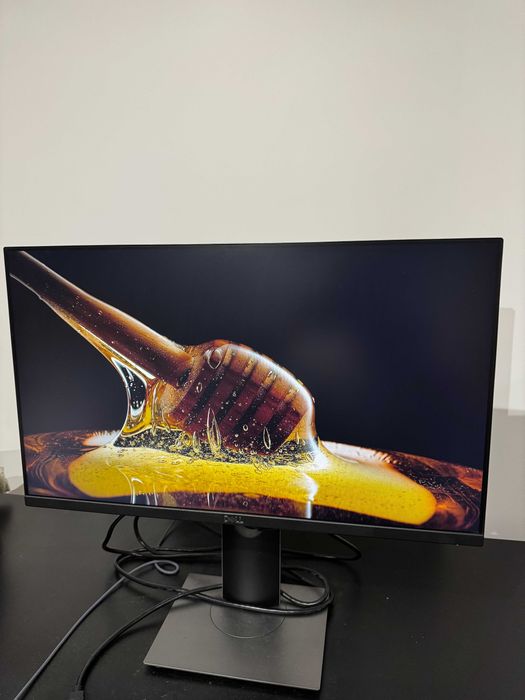 Monitor Dell P2419H