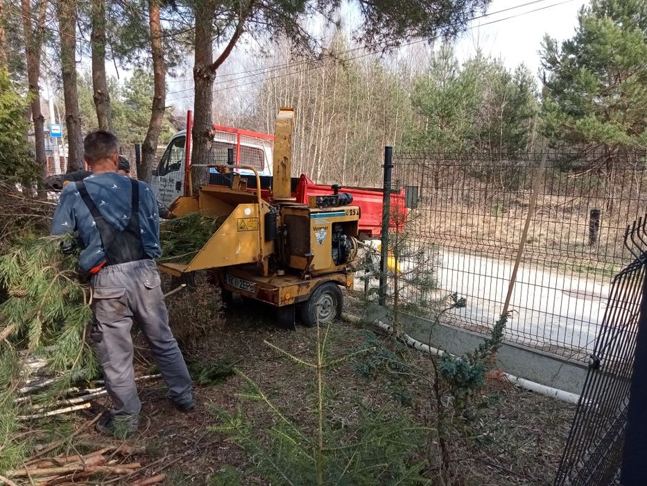 Mulczer leśny, Kosze traw, Wycinka drzew. Rębak, Transport