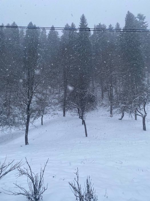 Отдых. Відпочинок в Карпатах. Аренда дома.Чани