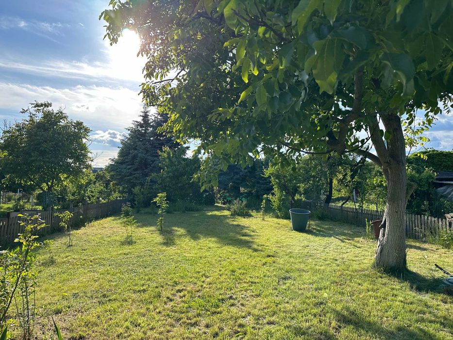 Ogród działkowy ROD ,, Bajki „ 490m2 ul. Borowska